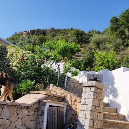 Casa L'Ulivariu Affittacamere San Teodoro  Bagian luar foto