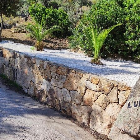 Casa L'Ulivariu Affittacamere San Teodoro  Bagian luar foto