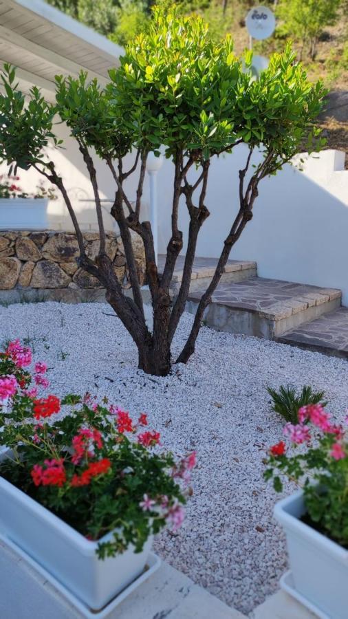 Casa L'Ulivariu Affittacamere San Teodoro  Bagian luar foto