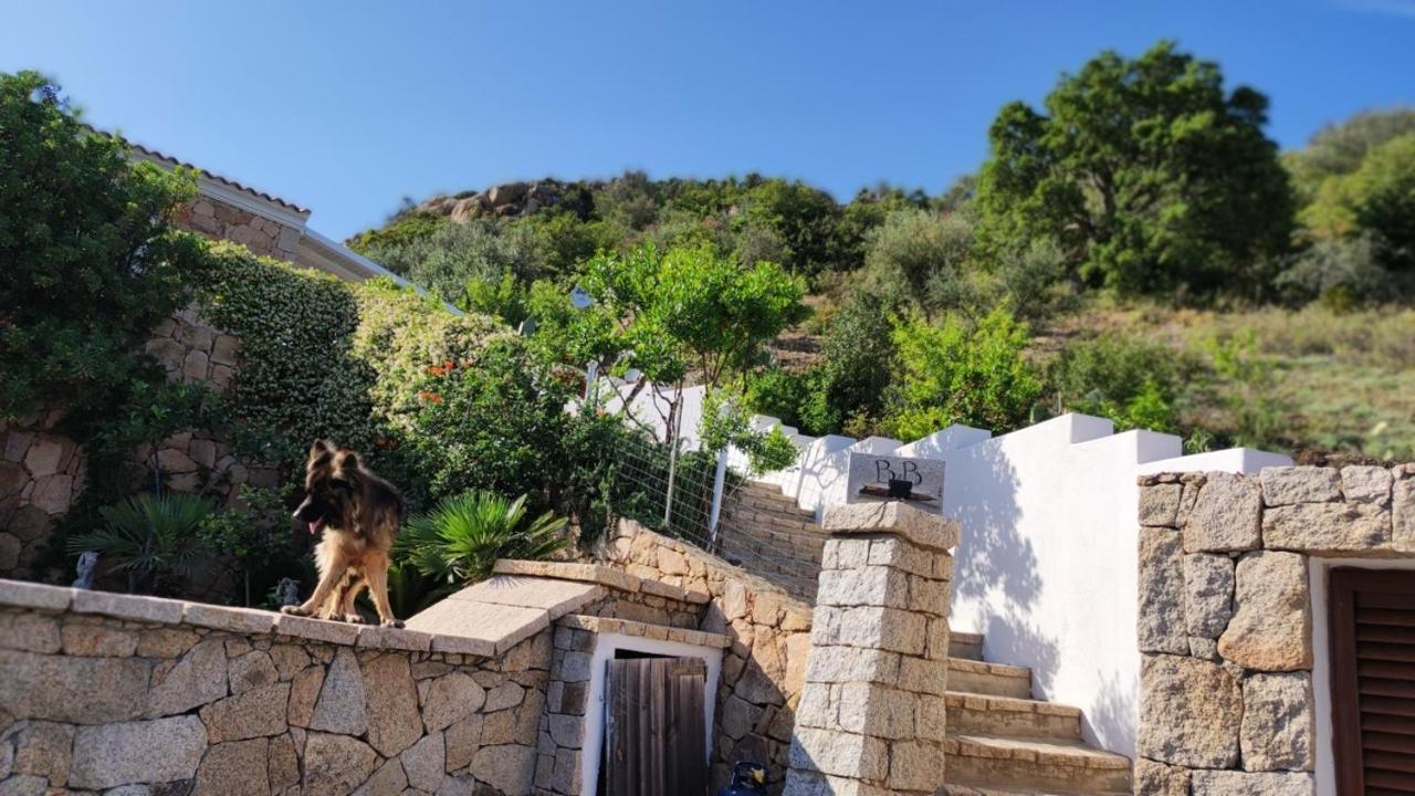 Casa L'Ulivariu Affittacamere San Teodoro  Bagian luar foto