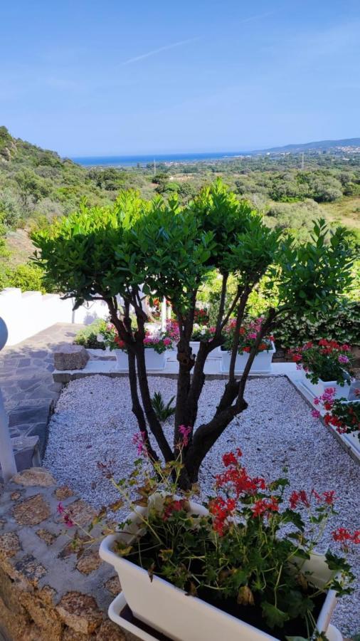 Casa L'Ulivariu Affittacamere San Teodoro  Bagian luar foto