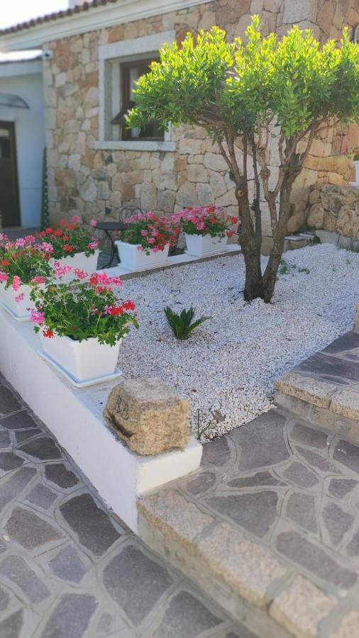 Casa L'Ulivariu Affittacamere San Teodoro  Bagian luar foto