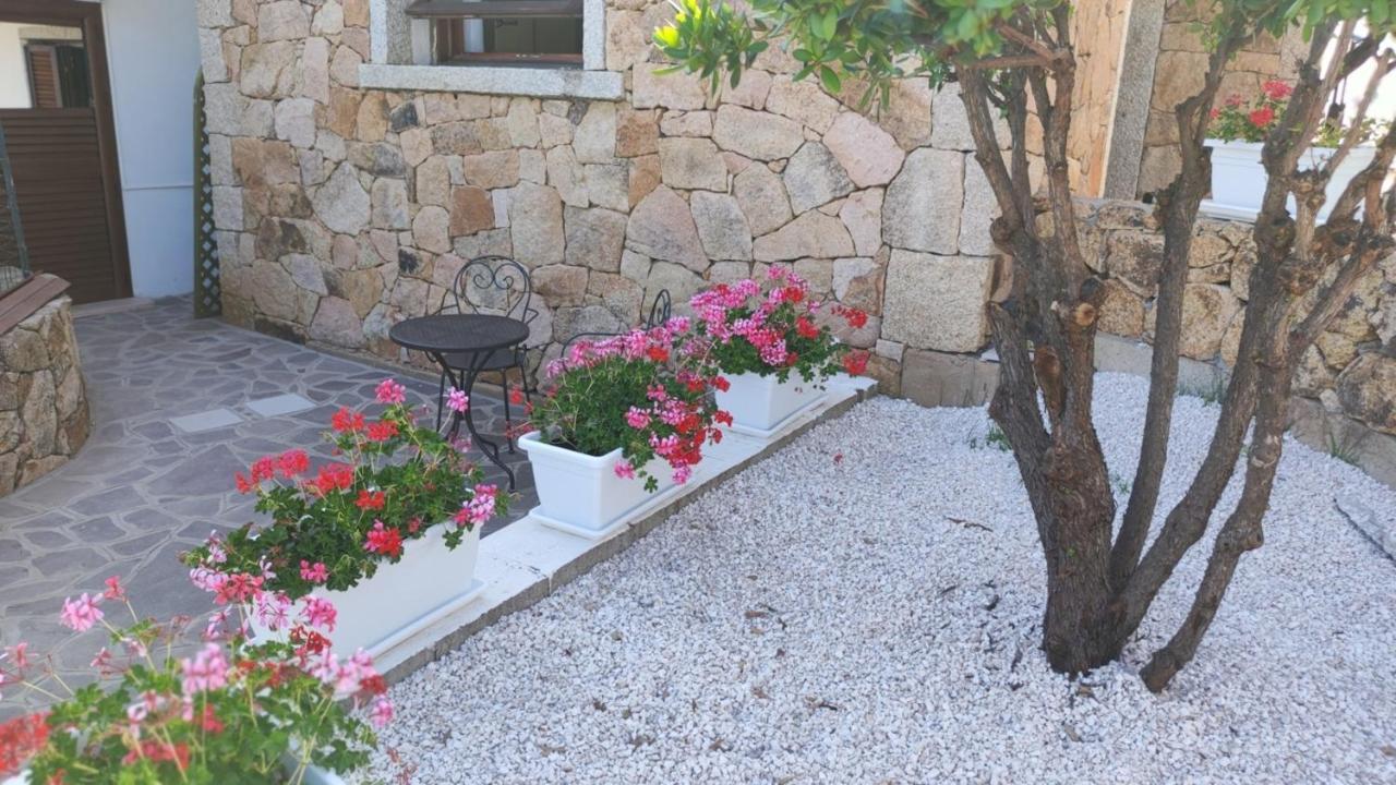 Casa L'Ulivariu Affittacamere San Teodoro  Bagian luar foto