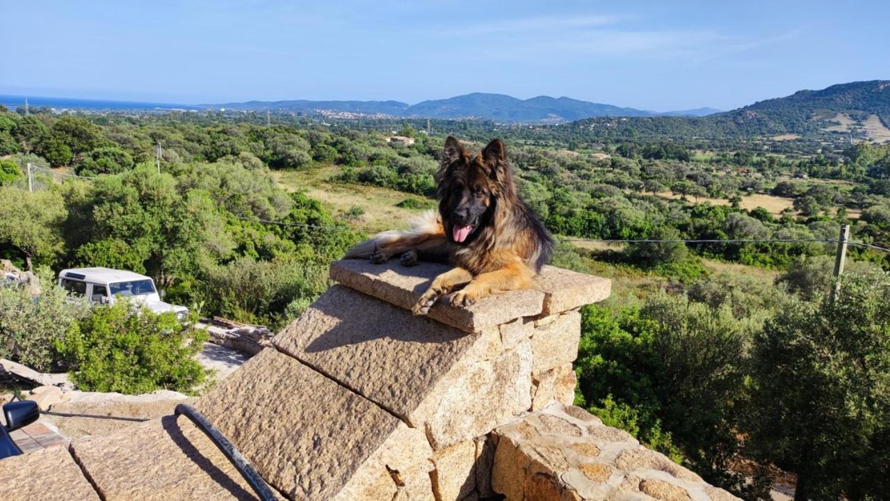 Casa L'Ulivariu Affittacamere San Teodoro  Bagian luar foto