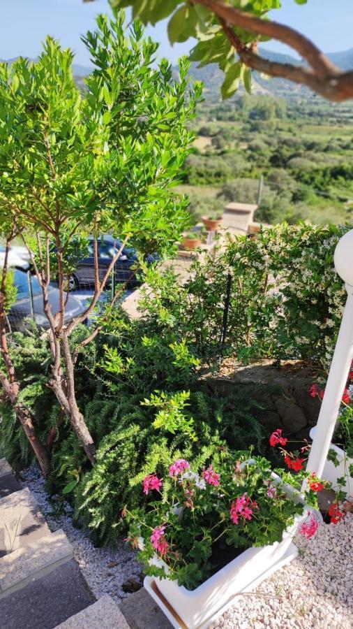 Casa L'Ulivariu Affittacamere San Teodoro  Bagian luar foto