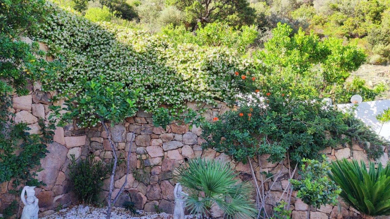 Casa L'Ulivariu Affittacamere San Teodoro  Bagian luar foto