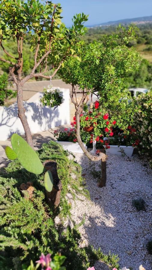 Casa L'Ulivariu Affittacamere San Teodoro  Bagian luar foto