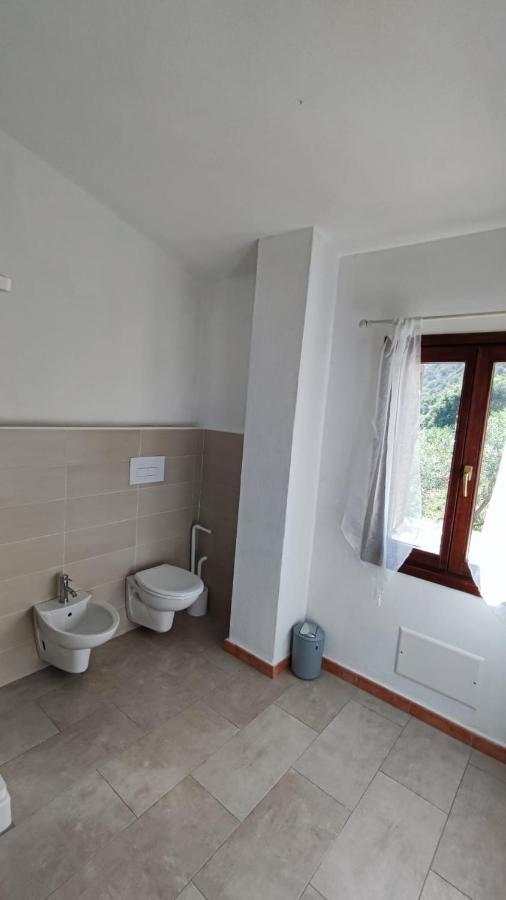 Casa L'Ulivariu Affittacamere San Teodoro  Bagian luar foto