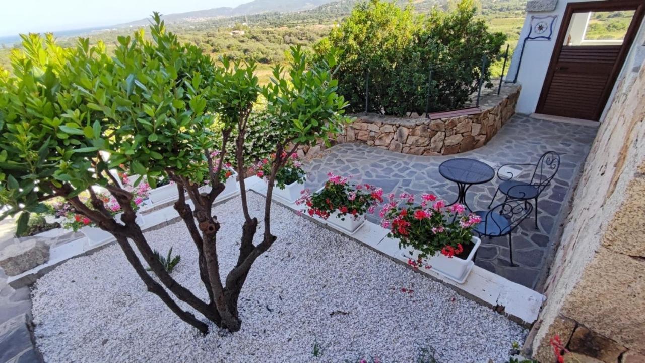 Casa L'Ulivariu Affittacamere San Teodoro  Bagian luar foto