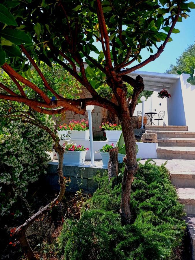 Casa L'Ulivariu Affittacamere San Teodoro  Bagian luar foto