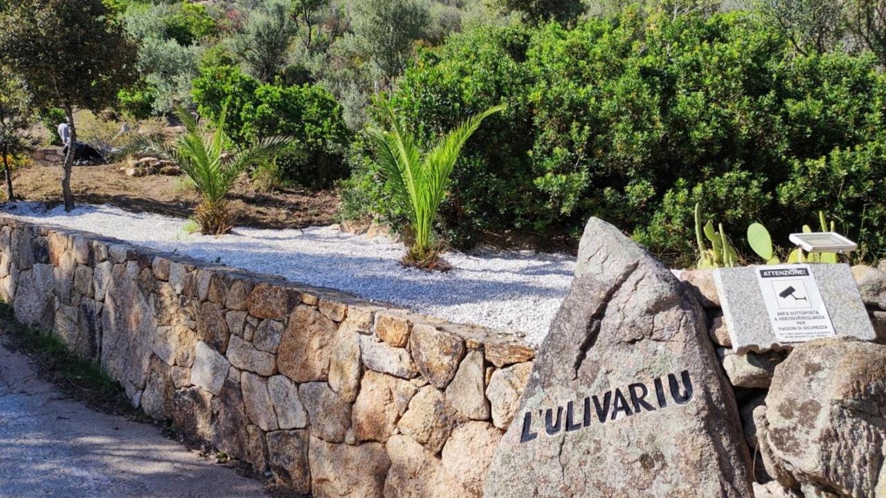 Casa L'Ulivariu Affittacamere San Teodoro  Bagian luar foto