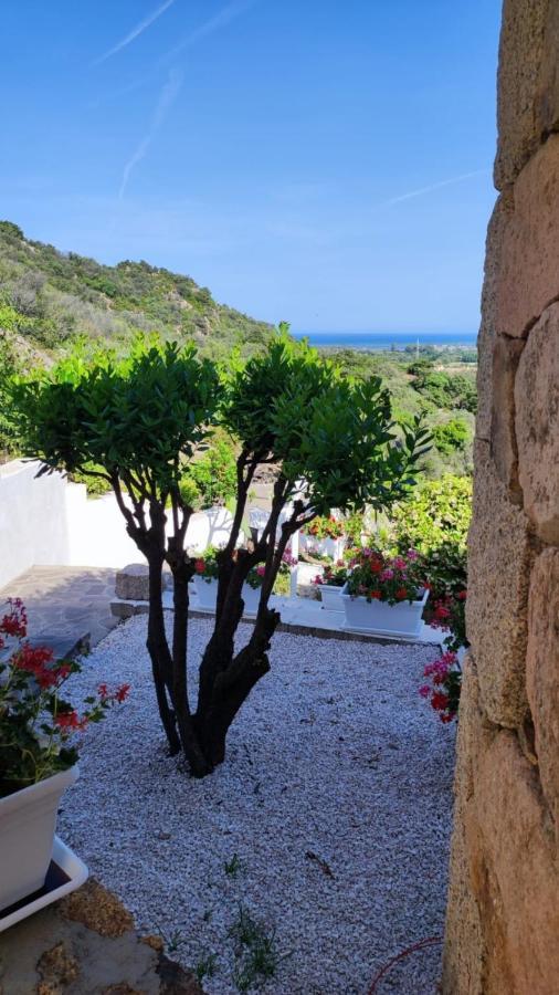 Casa L'Ulivariu Affittacamere San Teodoro  Bagian luar foto