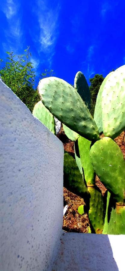 Casa L'Ulivariu Affittacamere San Teodoro  Bagian luar foto