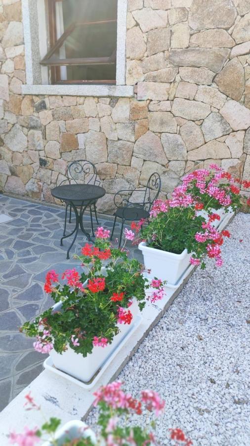 Casa L'Ulivariu Affittacamere San Teodoro  Bagian luar foto