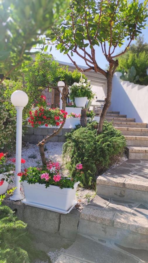 Casa L'Ulivariu Affittacamere San Teodoro  Bagian luar foto